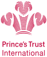Prince Trust International and FSD VTE
